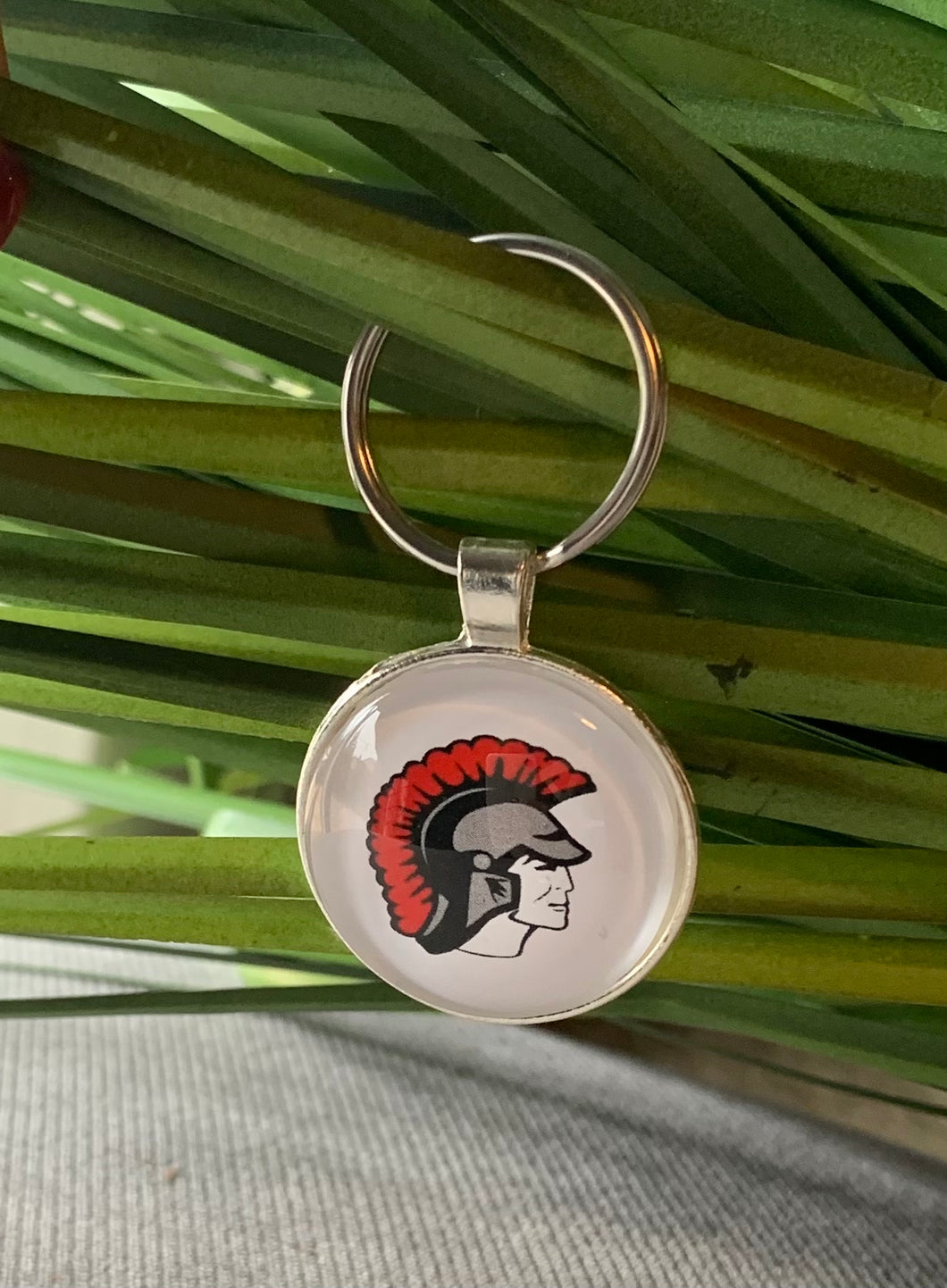 Livonia Clarenceville High School Keychain - Many Options